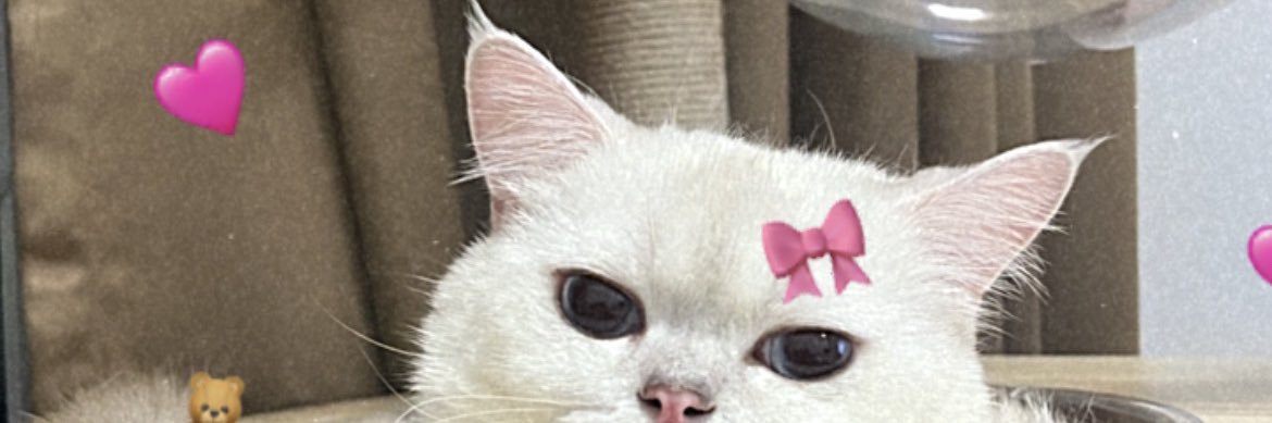 K banner