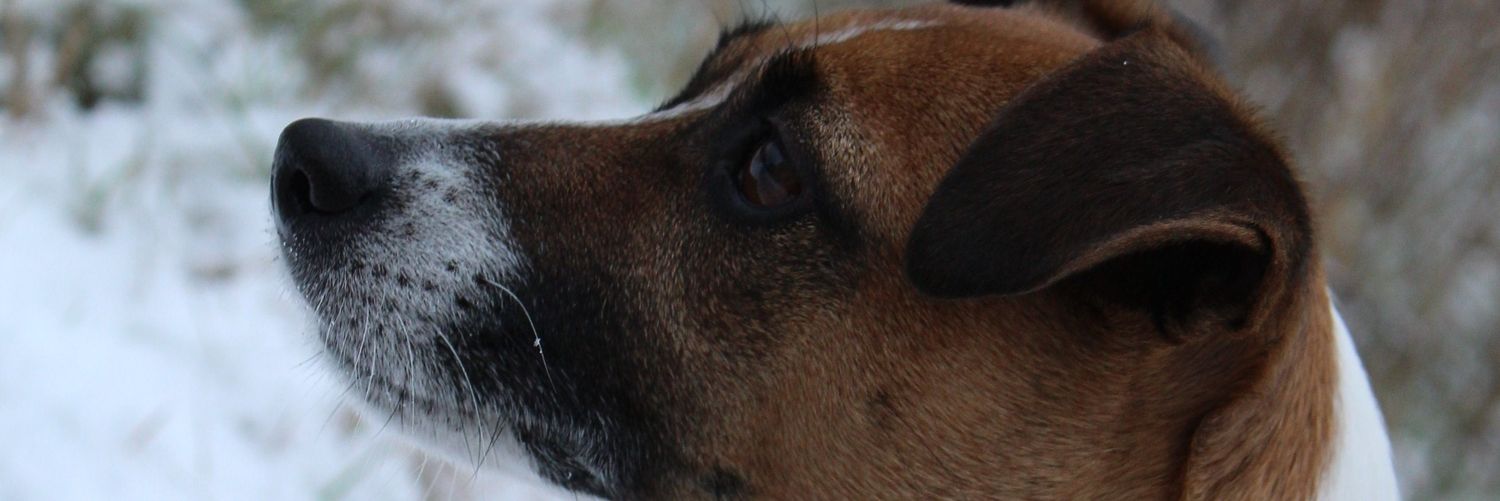 DanValeAle's profile banner image