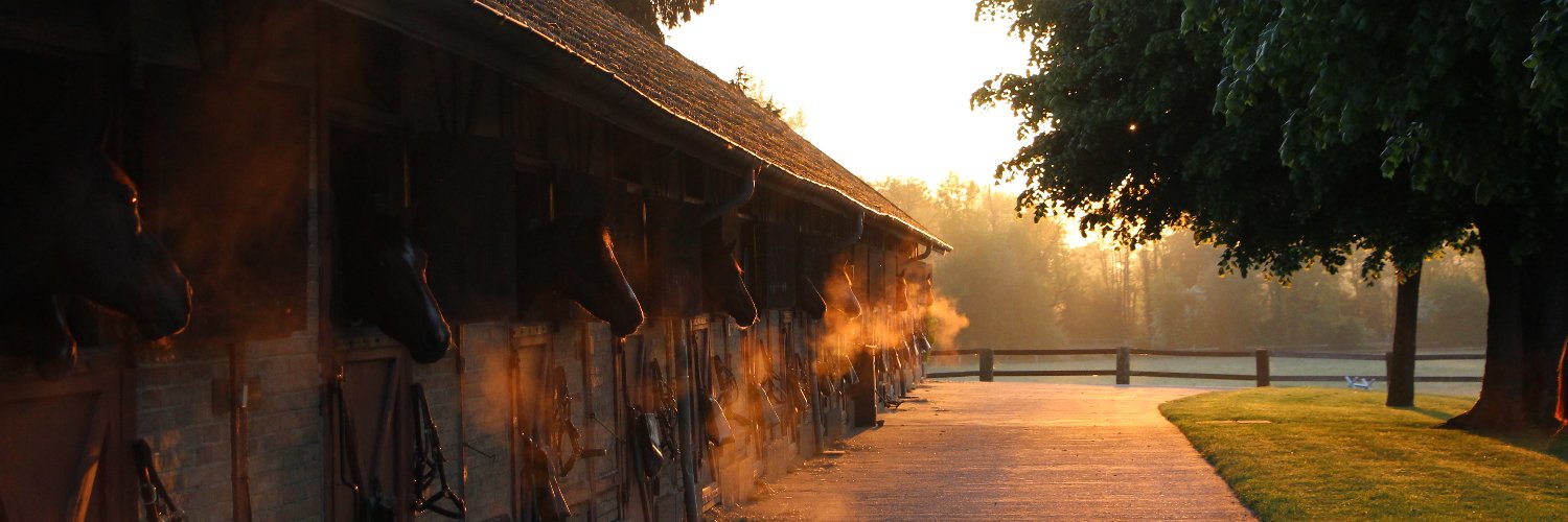 Haras du Buff banner