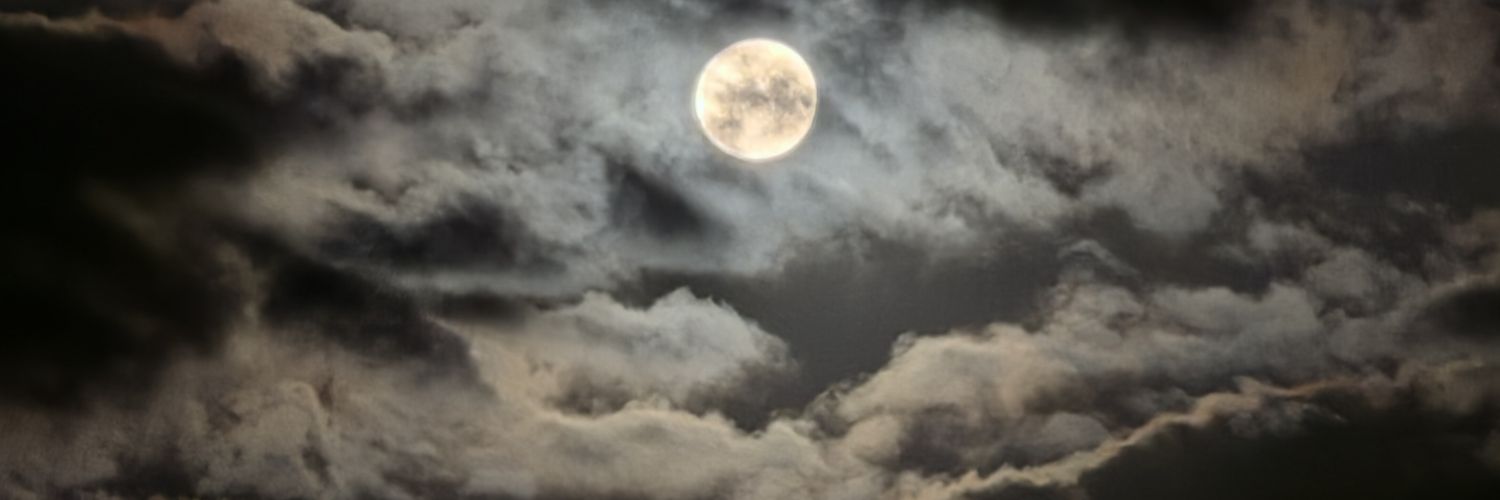 RedruuM1's profile banner image