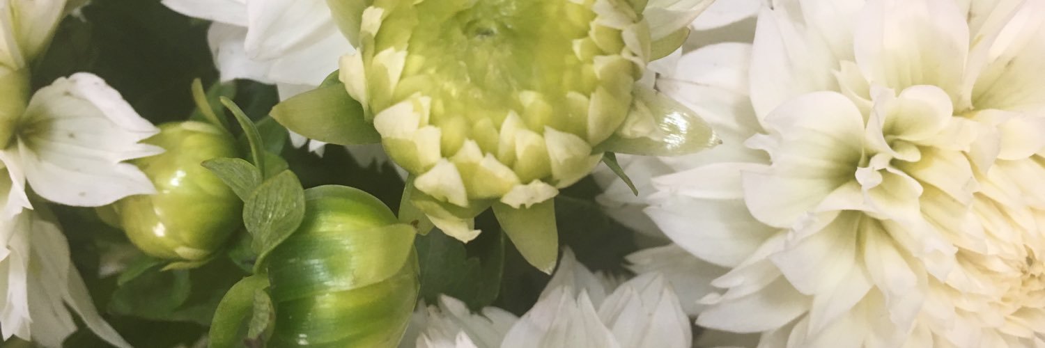 HallmarkReviews's profile banner image