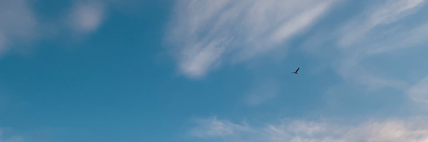 mxanm's profile banner image