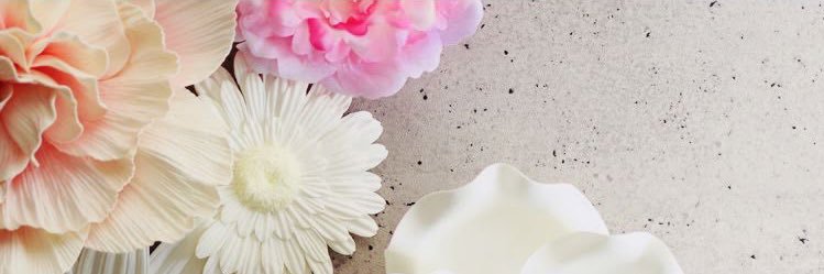 ritty8_mr's profile banner image