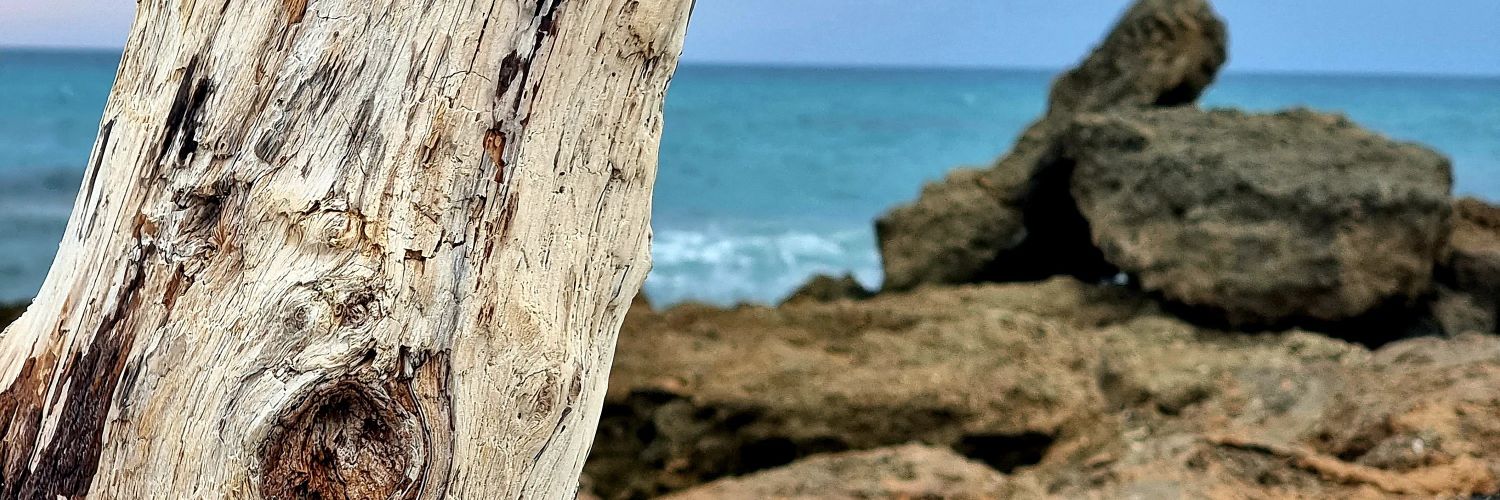MrLucaDoe's profile banner image