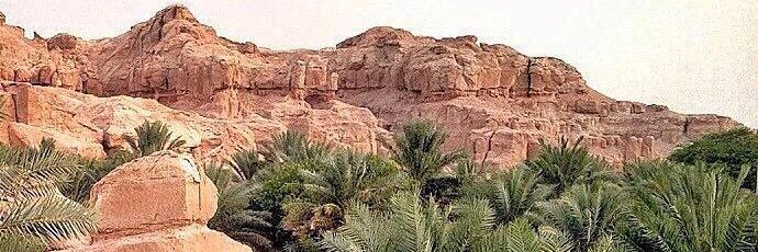 عبدالله العباد banner