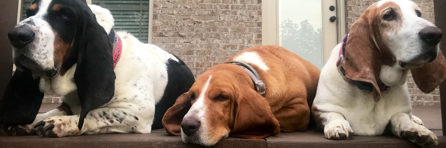 bpeachy99's profile banner image