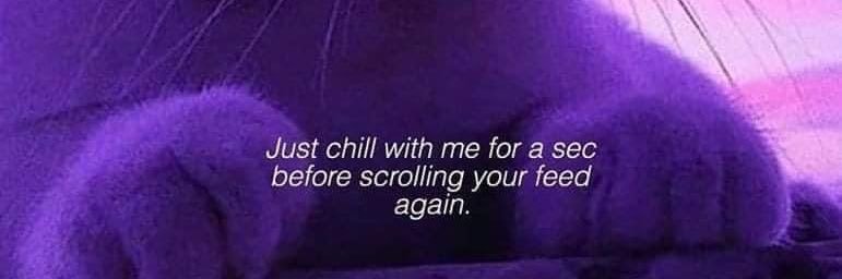 xomaddy's profile banner image