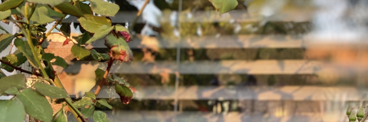fierynightmare_'s profile banner image
