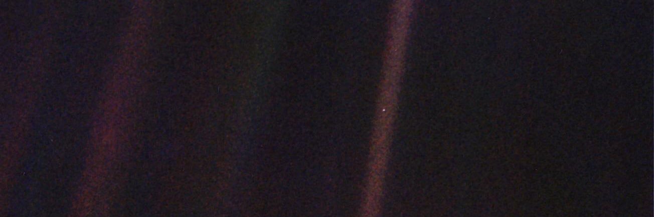 Ollielav's profile banner image