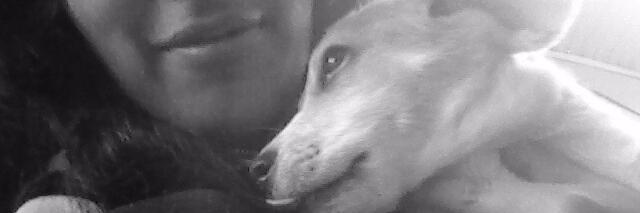 KatnaXD's profile banner image