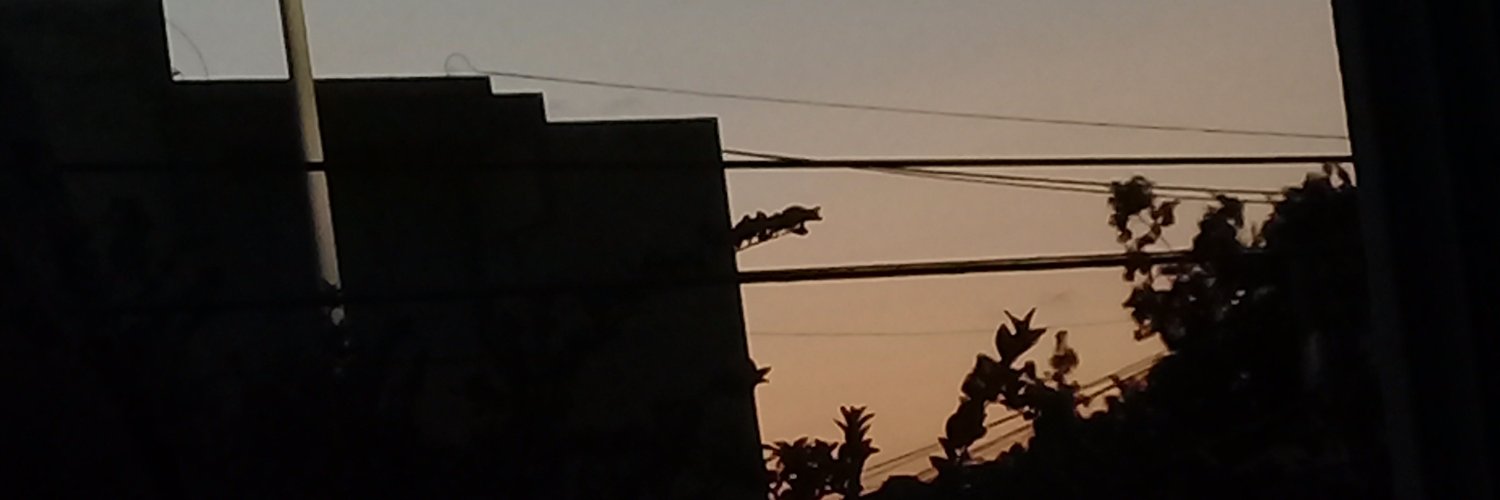 catmir_'s profile banner image