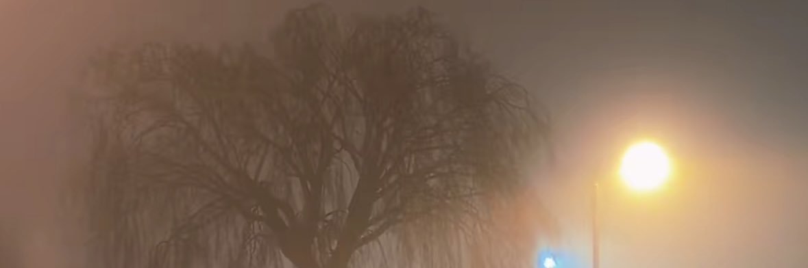Witchiepoooo's profile banner image