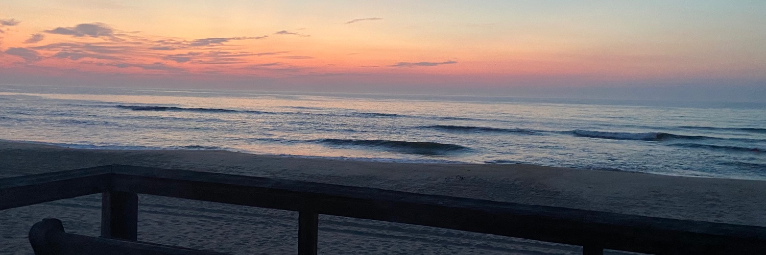 Holly Robinson banner