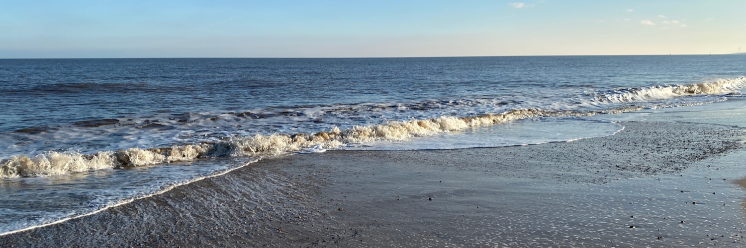 Dr Leigh-Anne Perryman banner