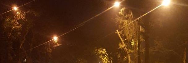 zaahra_c's profile banner image