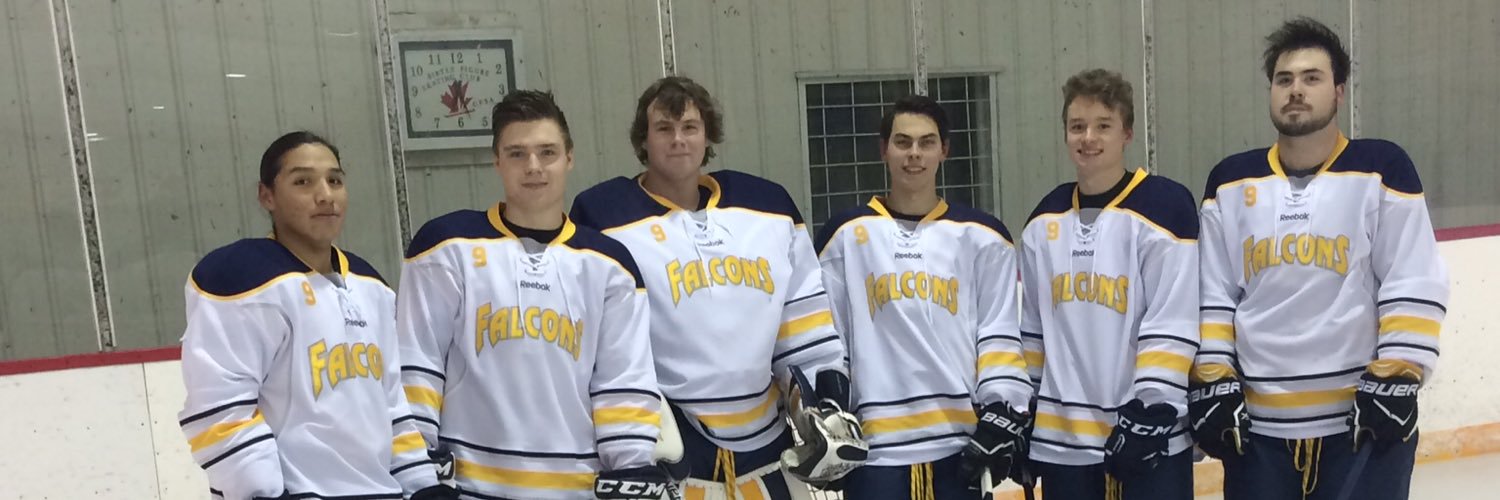 BirtleFalcons's profile banner image