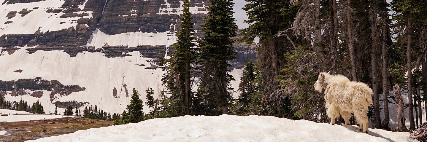 carsonlee_24_'s profile banner image