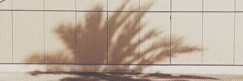alyssaxx__'s profile banner image