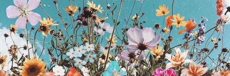 whinibeth's profile banner image