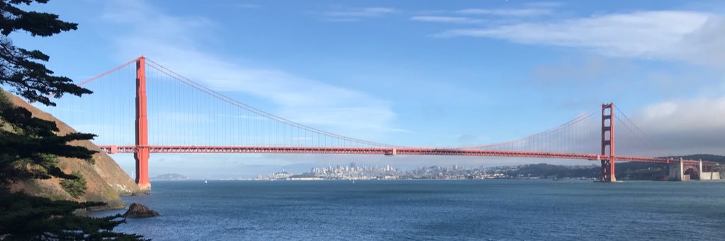 Karinne Evans banner