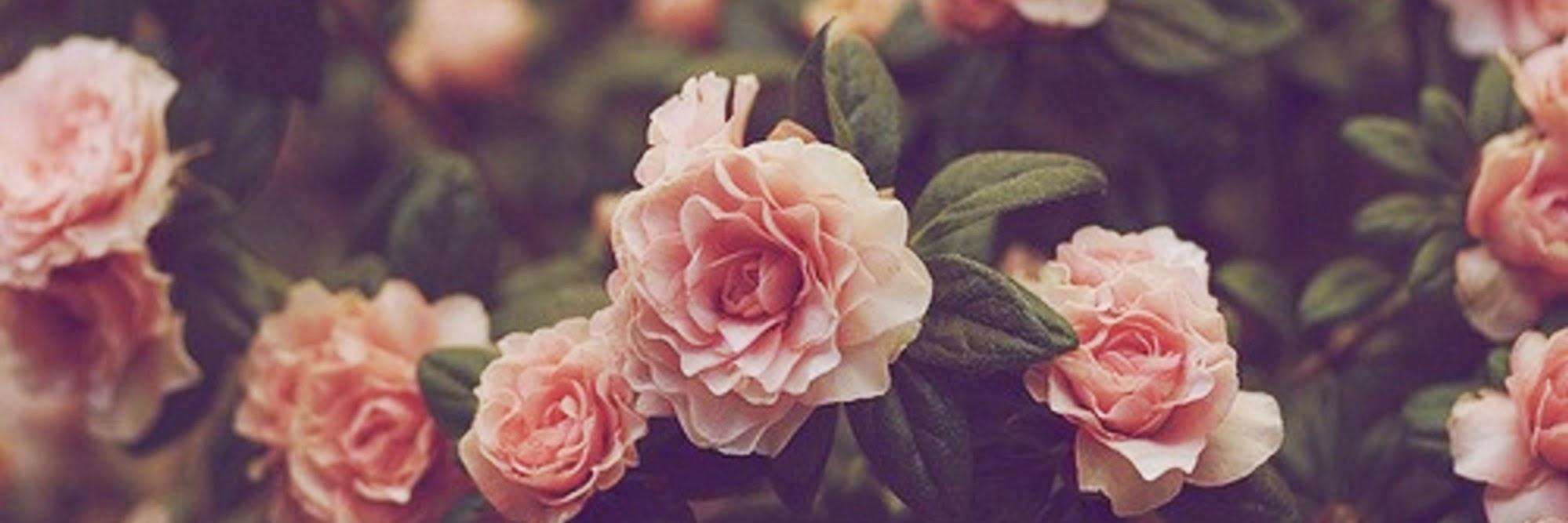 Luz_Rodriguez15's profile banner image