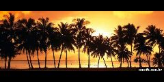 _oimiih's profile banner image