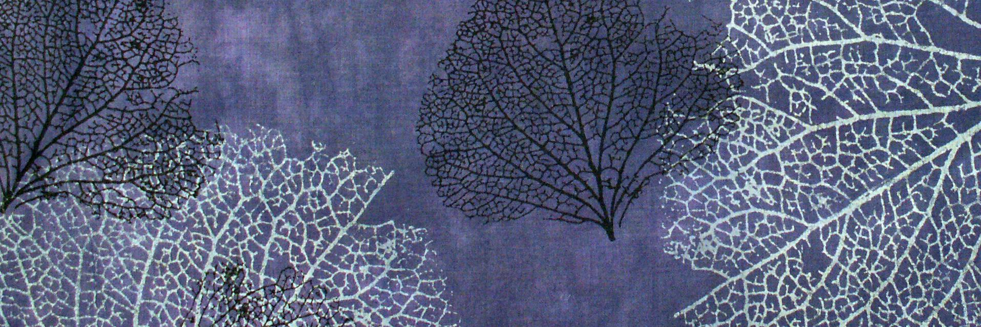ThermofaxScreen's profile banner image