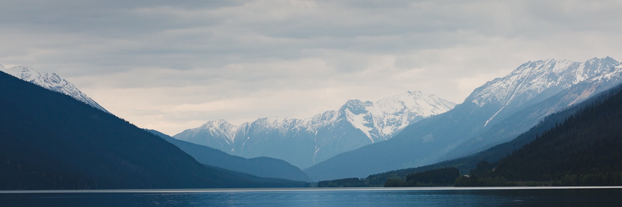 visualsoflife's profile banner image