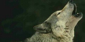 AngeelaCalvo's profile banner image