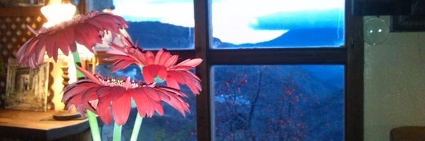 imcoterof Profile Banner