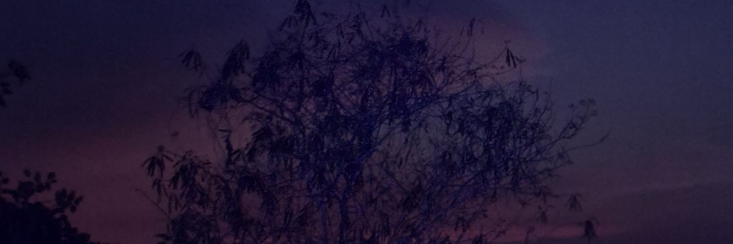 dradetusdientes's profile banner image