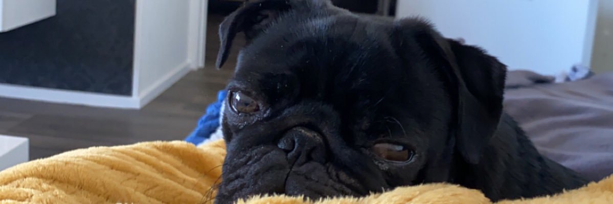 marinedrbr's profile banner image