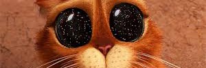 LckyHyper's profile banner image