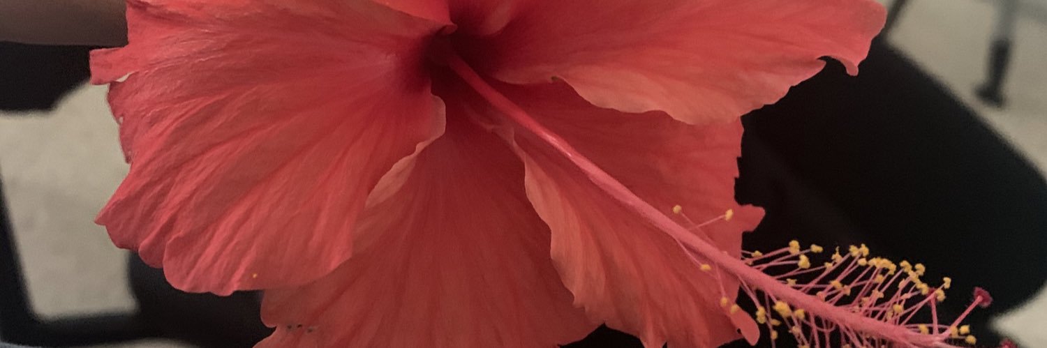 DPOV99's profile banner image