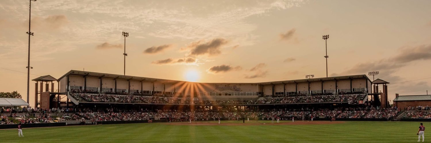 Lincoln Saltdogs banner