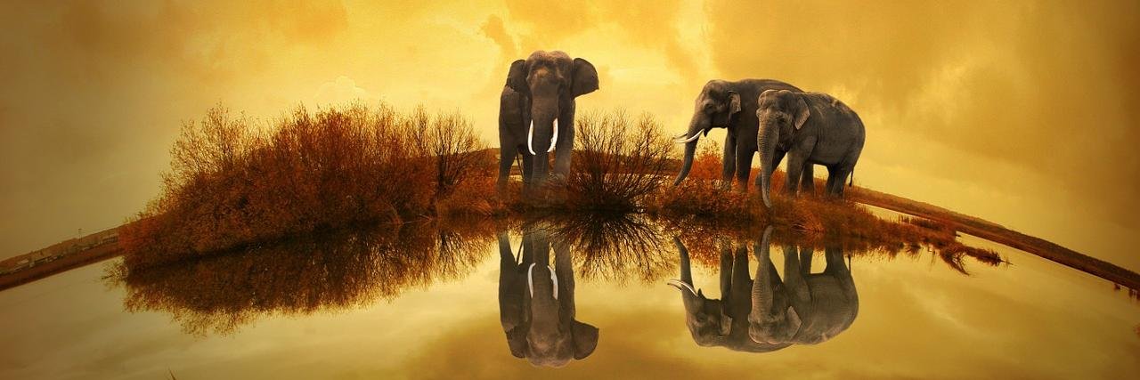 Thomas De Vos 👍 banner