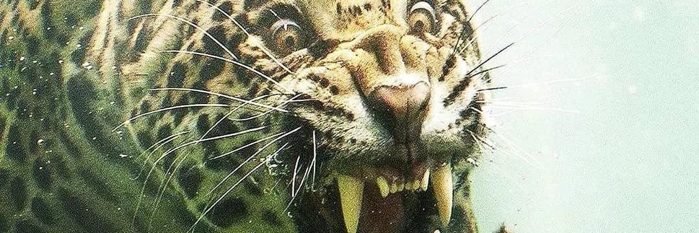 plothug2's profile banner image