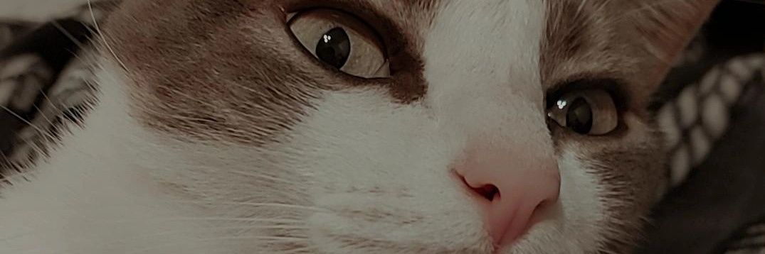 EriAguileraa's profile banner image