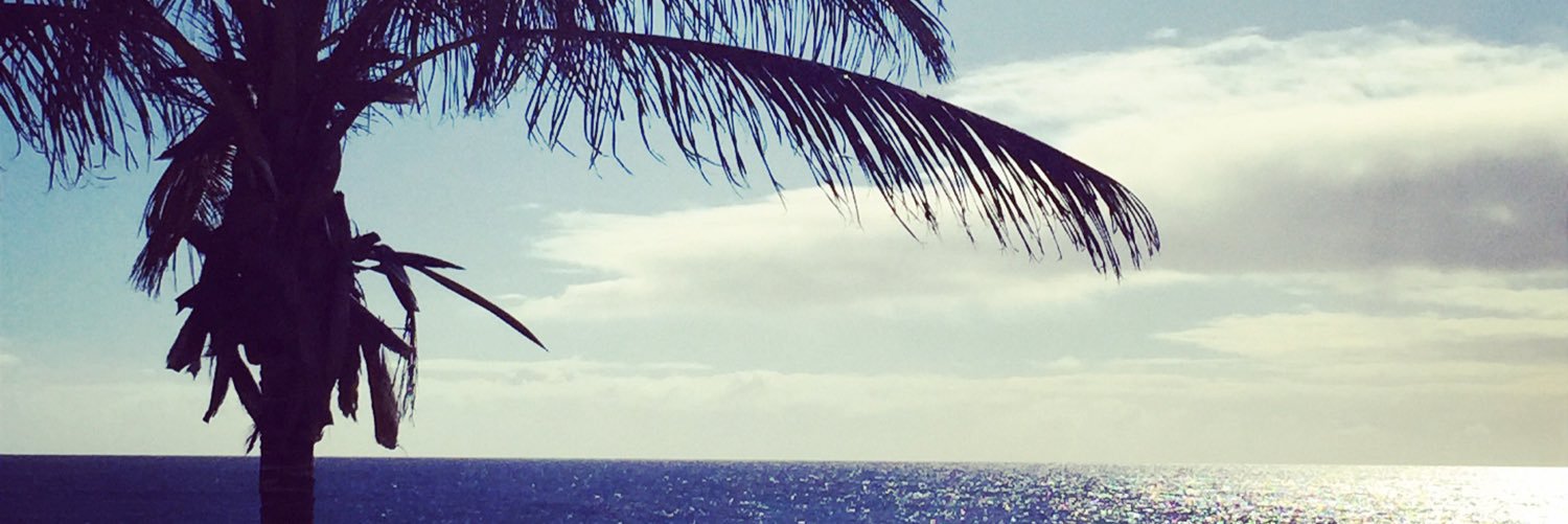 SAElphick's profile banner image