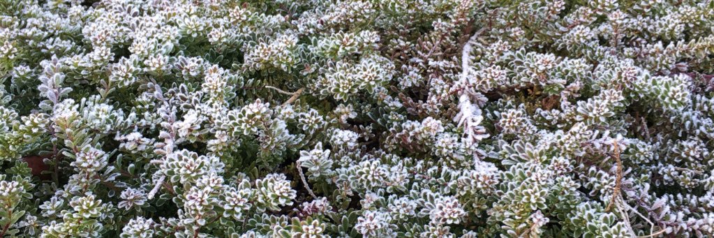 Ric Morgan @riccm.bsky.social banner