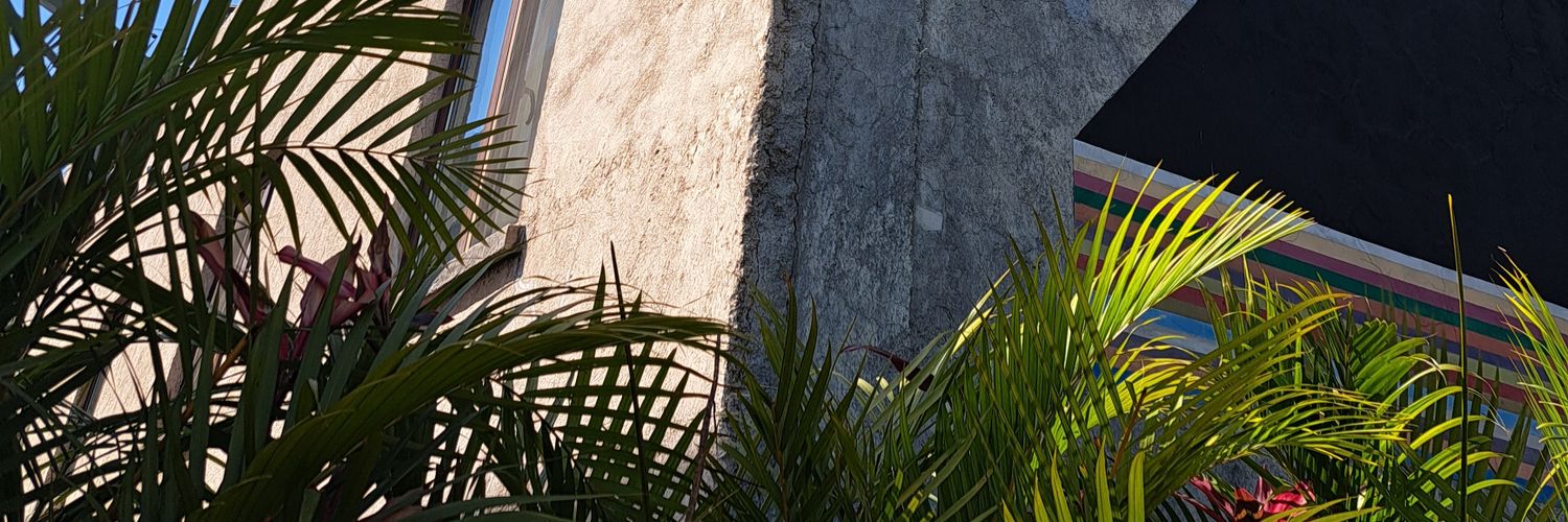 dianlpgrc's profile banner image