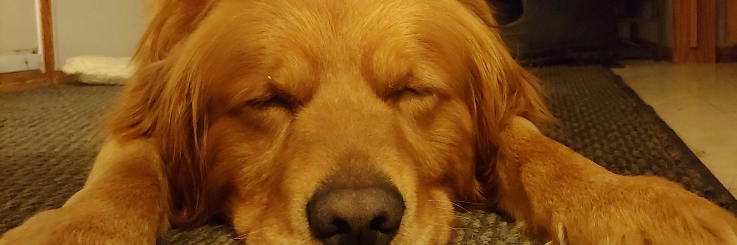 tylerbennett483's profile banner image