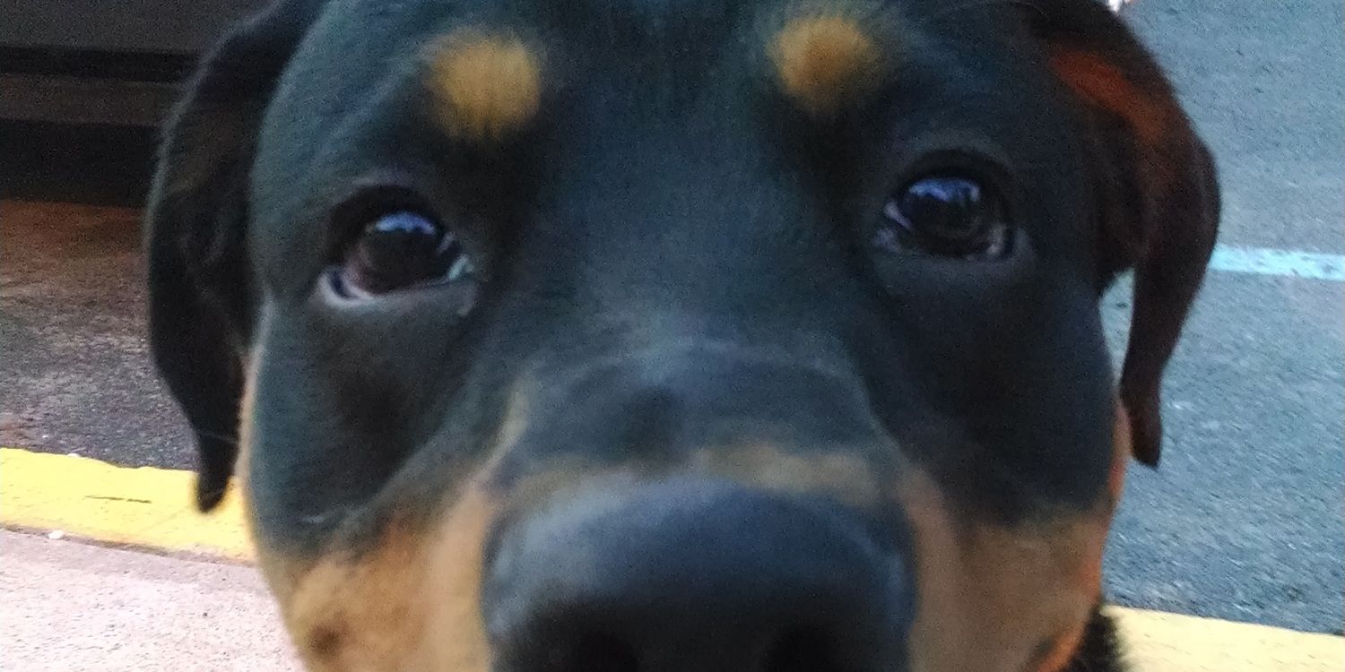 epic_gasser's profile banner image