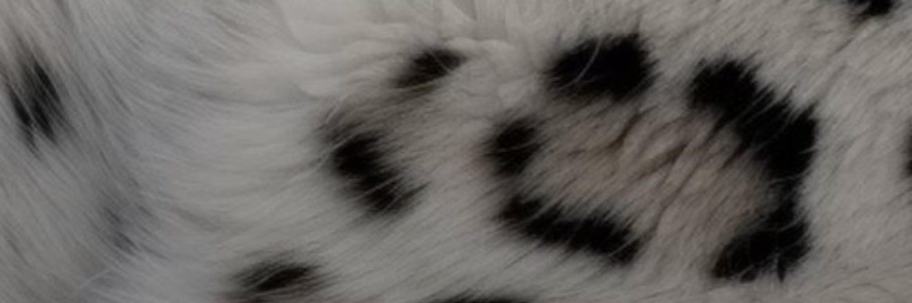 jasxmar's profile banner image