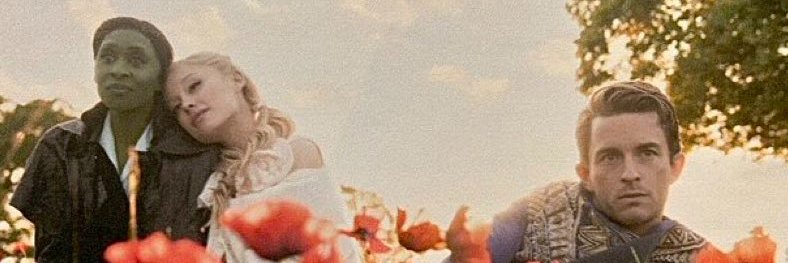 nidorine's profile banner image