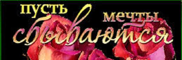 Светлана Комарова banner