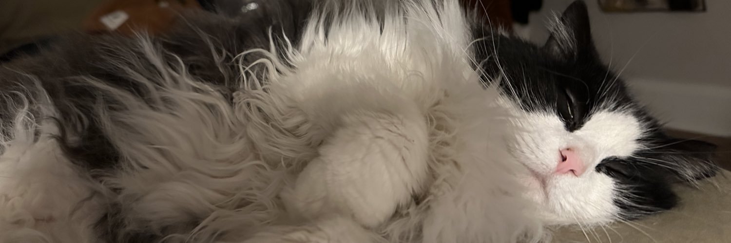 Victoria_Eiland's profile banner image