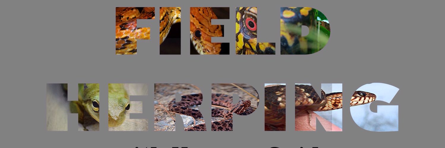 HerpersGuide's profile banner image