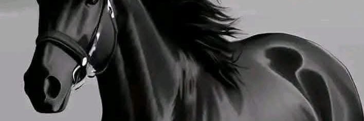 NAZARALSH3B's profile banner image