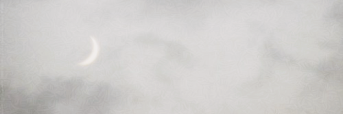 imsashadbgdr's profile banner image